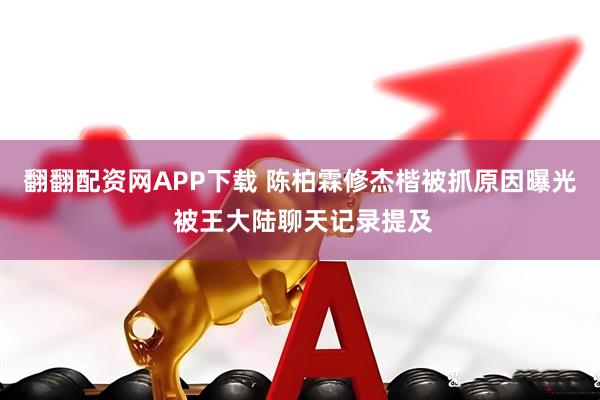 翻翻配资网APP下载 陈柏霖修杰楷被抓原因曝光 被王大陆聊天记录提及