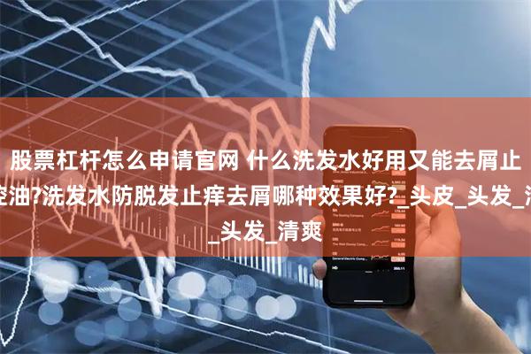 股票杠杆怎么申请官网 什么洗发水好用又能去屑止痒控油?洗发水防脱发止痒去屑哪种效果好?_头皮_头发_清爽